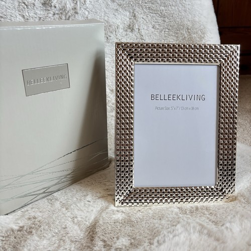 Belleek living silver photo - living,