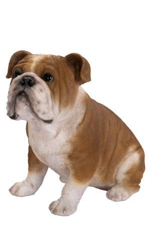Vivid arts bulldog - arts,