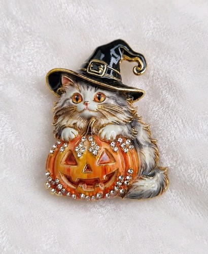Halloween witch ragdoll cat - ragdoll,