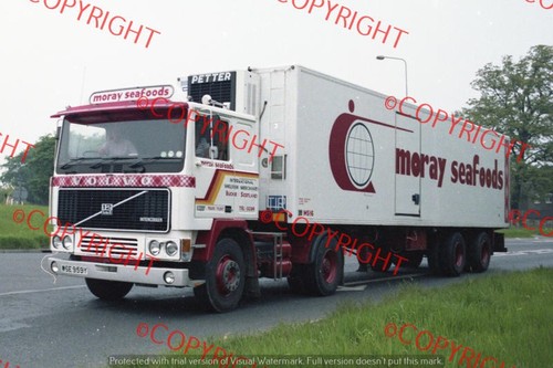 Truck photo moray seafoods - moray,