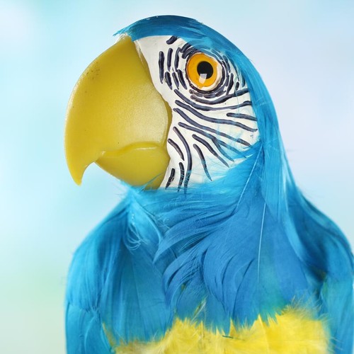Lifelike long tropical - lifelike,