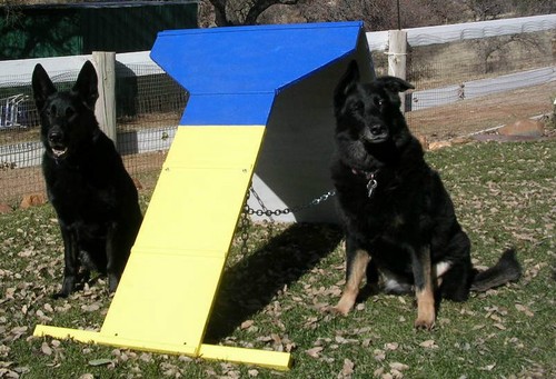 Dog agility equipment contact - equipment,