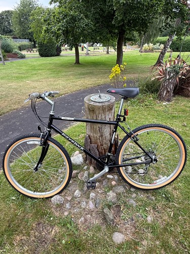Ridgeback mountain bike 602sx - bike,