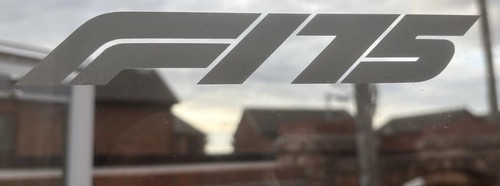 75 logo sticker - f1,