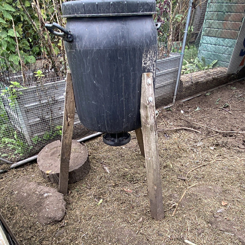 Plastic barrel chicken - chicken, feeder
