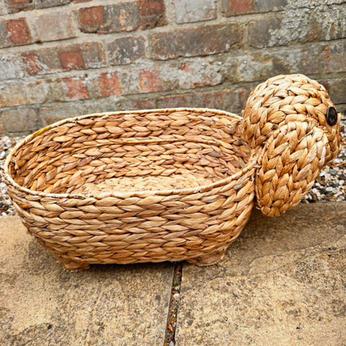 Turtle seagrass storage - storage, basket
