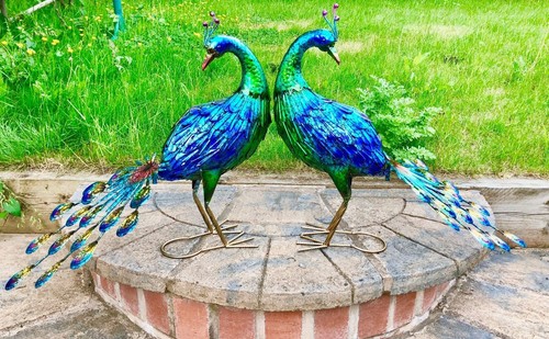 Large peacock outdoor garden - large,