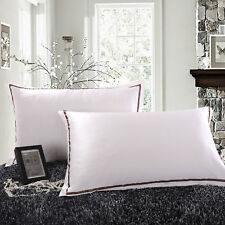 A Pair Of 100% Pure Mulberry Silk On Both Sides 22 Momme Pillow Case Ivory White