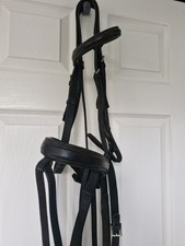 STUBBEN cob Brown With