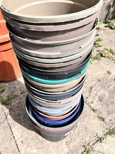 Range large plastic plant - plastic,