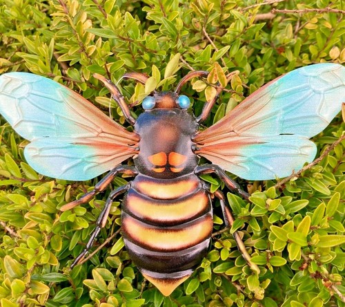 Bee bees wasp wall - wall, art
