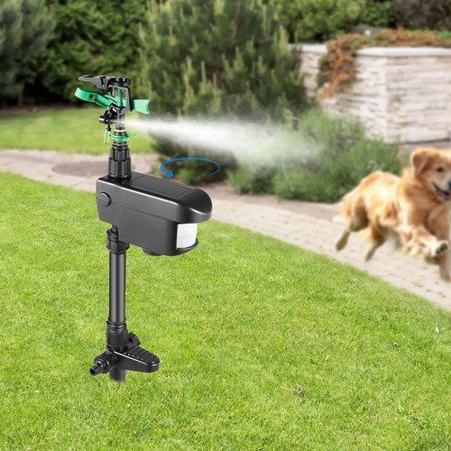 Motion sprinkler animal birds - motion, animal/birds