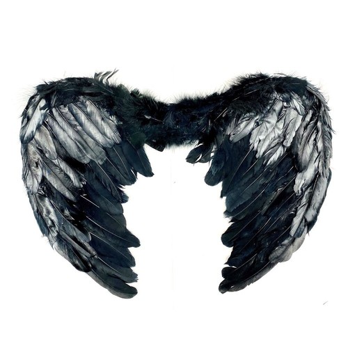 Black feather large - black, wings