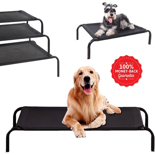 Elevated dog bed - bed,