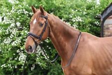 Horse Leather Bridle Snaffle Cavesson With Rein Equestrian Riding Training Black