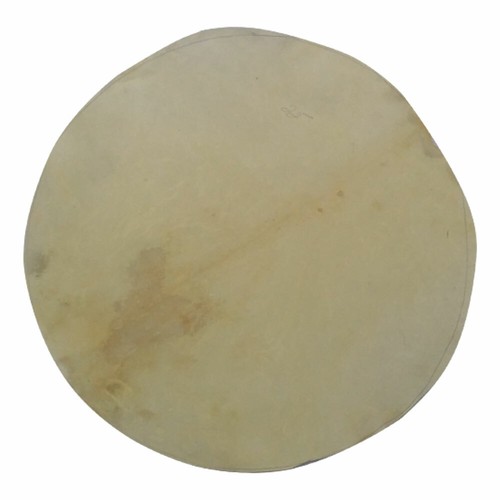 Goat skins head - 20",