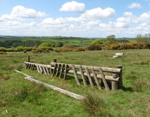 Photo 6x4 cross - 6x4, cross-country