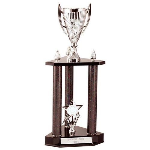 Dallas multi sport - sport, 2