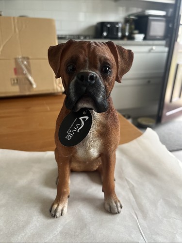 Vivid arts boxer dog - arts,