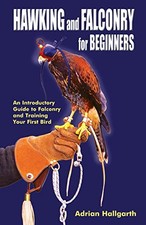 Hawking & Falconry for