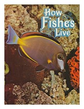 Whitehead, Peter JAMES PALMER How fishes live / Peter Whitehead 1975 First Editi