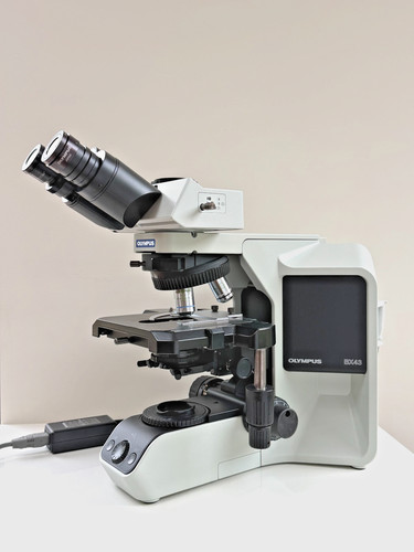 Olympus bx43 microscope - bx43,