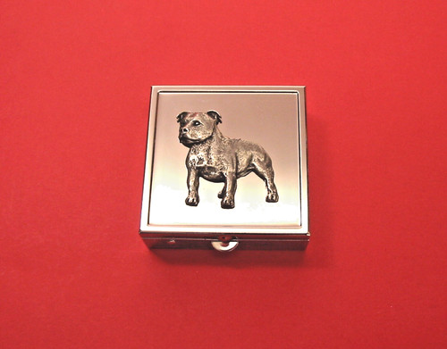 Staffordshire bull terrier - staffordshire, on