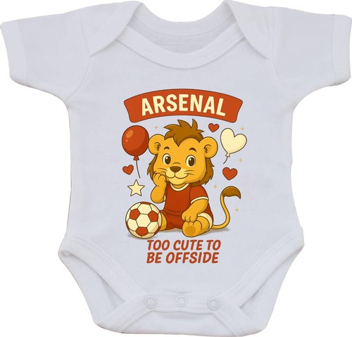 Arsenal football supporters - football,