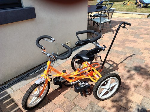 Theraplay terrier adapted - theraplay,
