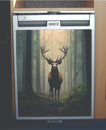 Waeco crx50 vinyl - vinyl, fridge