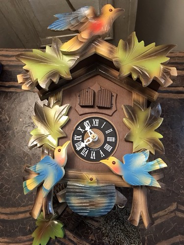 Cucu clock birds nest - 77,