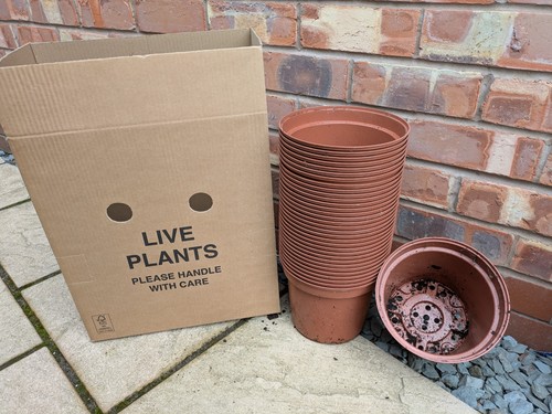 Plant pots used 4 litre - plant,