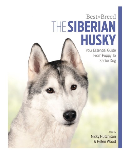 Siberian husky best breed - best,