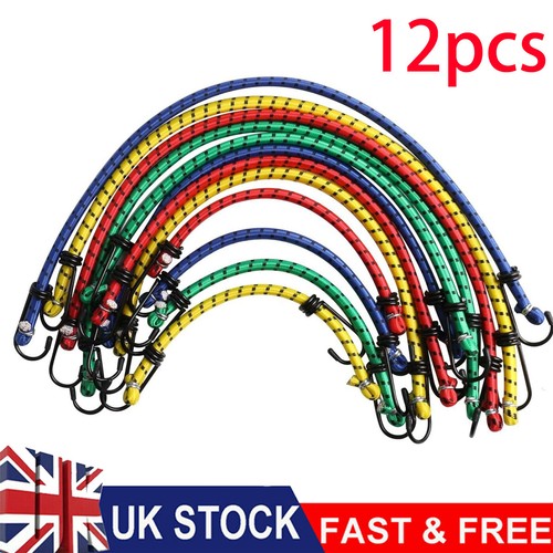 Mixed sizes heavy duty bungee - sizes,