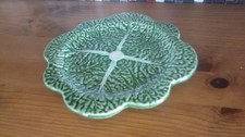 Vintage green Cabbage leaf