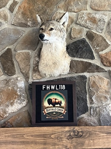 Fhwl118 coyote shoulder - fhwl118,