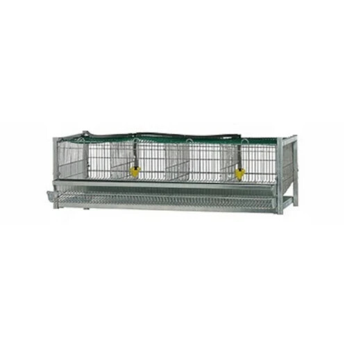 Gaun single quail breeder - single,