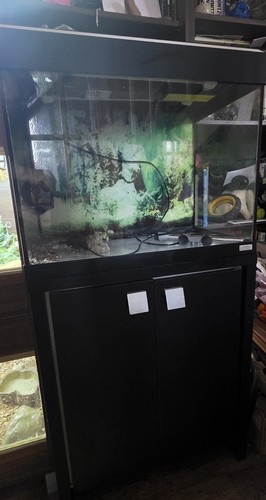 Fluval roma and - fluval,
