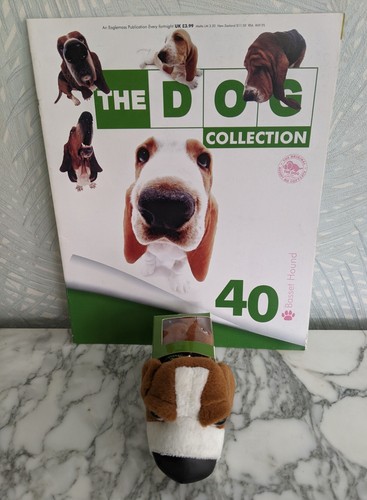 Basset hound the - the, dog