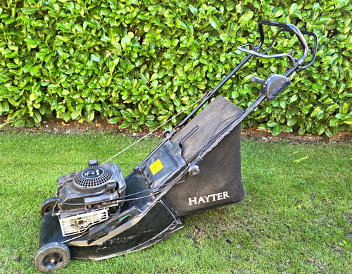 Hayter harrier self - hayter,