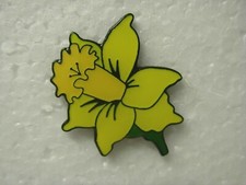 Daffodil pin badge. Flower