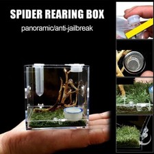 Feeder Insect Box Breeding Cage Spider habitat Jumping Spider Breeding Box