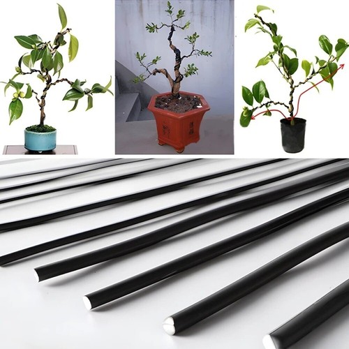 5 3mm bonsai wire - bonsai,
