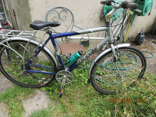 Raleigh gents pioneer metro - raleigh,