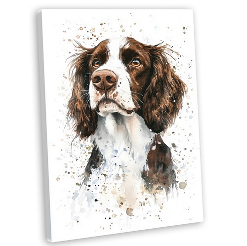 Springer spaniel canvas wall - springer,