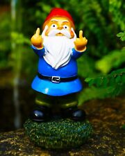 Funny Garden Gnomes, Colorful