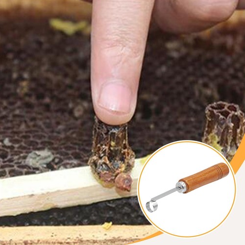 Honey uncapping scrap - uncapping,