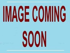 ROBERTO GOYENECHE CHE