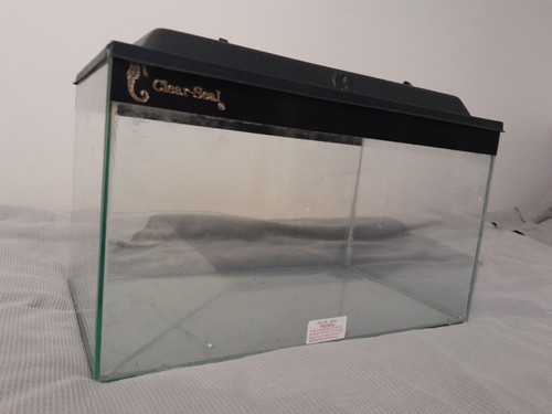 Clear seal glass - clear-seal, aquarium
