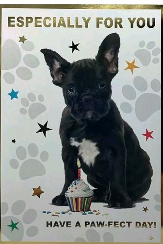 Cute dog french bulldog - cute,